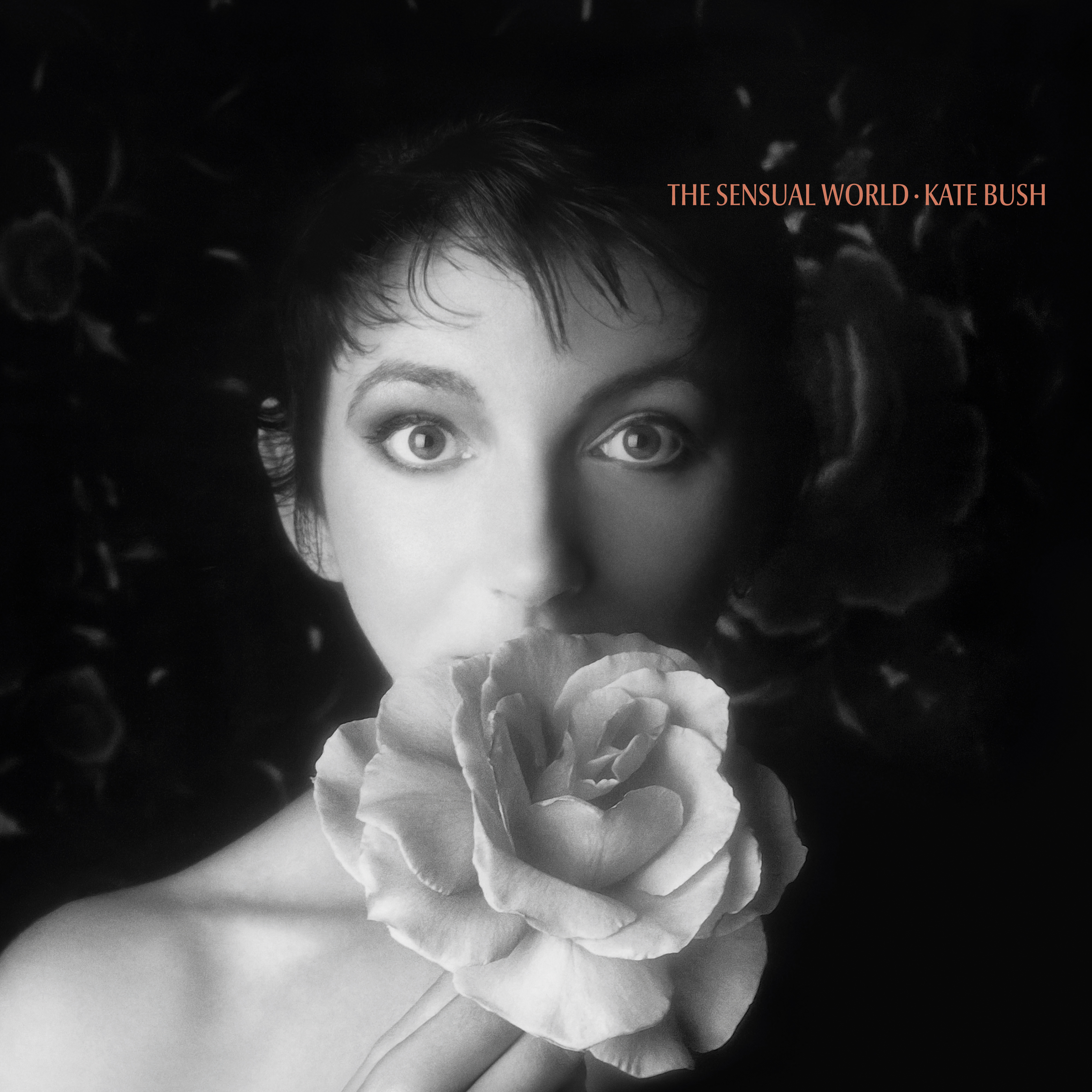 Bush, Kate - The Sensual World, Vinyl Album